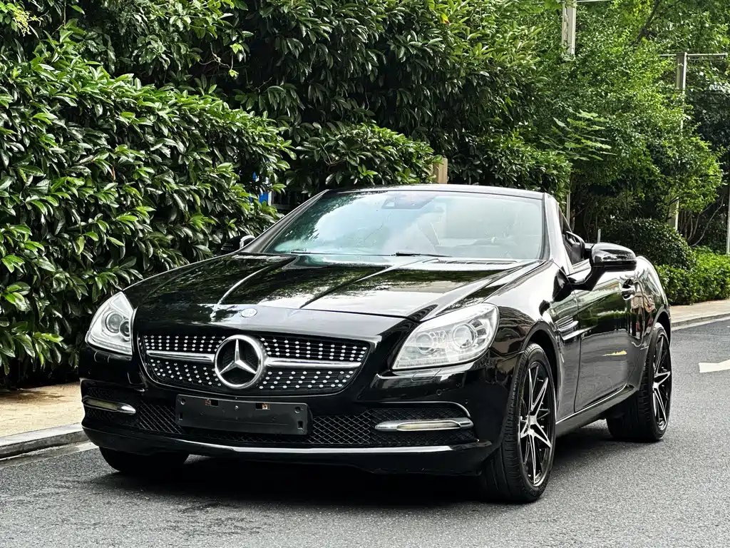 Mercedes-Benz SLK-Class 2013 — фото 1