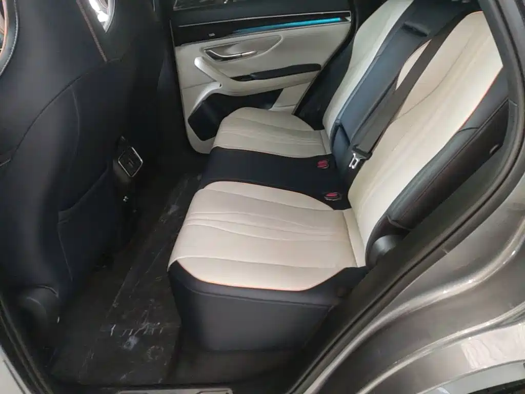 BYD Song PLUS New Energy 2022 — фото 17