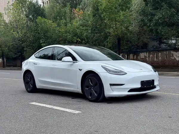 Tesla Model 3 2019