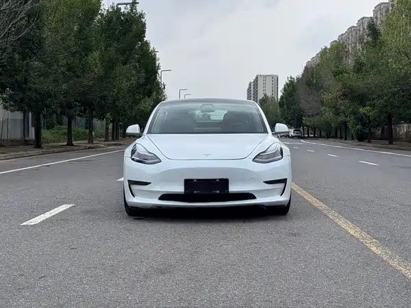Tesla Model 3 2019