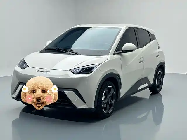 BYD Seagull 2024