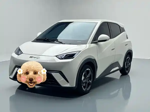 BYD Seagull 2024