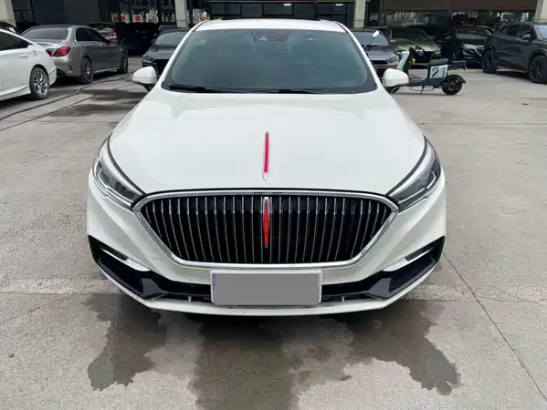 Hongqi H5 2020