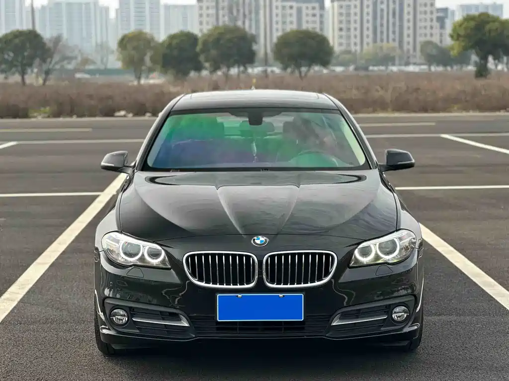 BMW 5 Series 2017 — фото 6