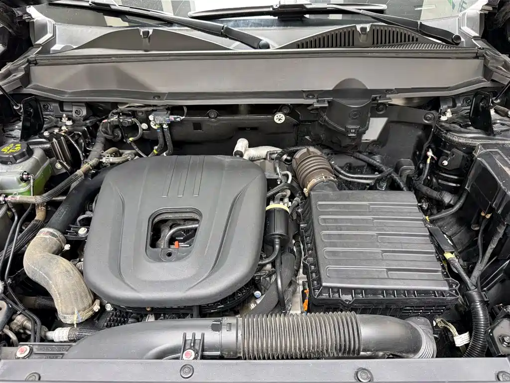 Haval Menglong New Energy 2024