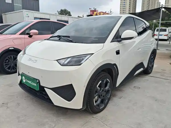 BYD Seagull 2025