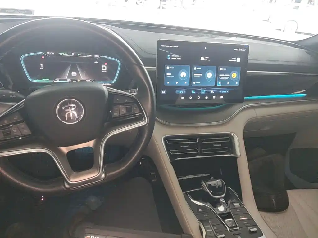 BYD Song PLUS New Energy 2022 — фото 10