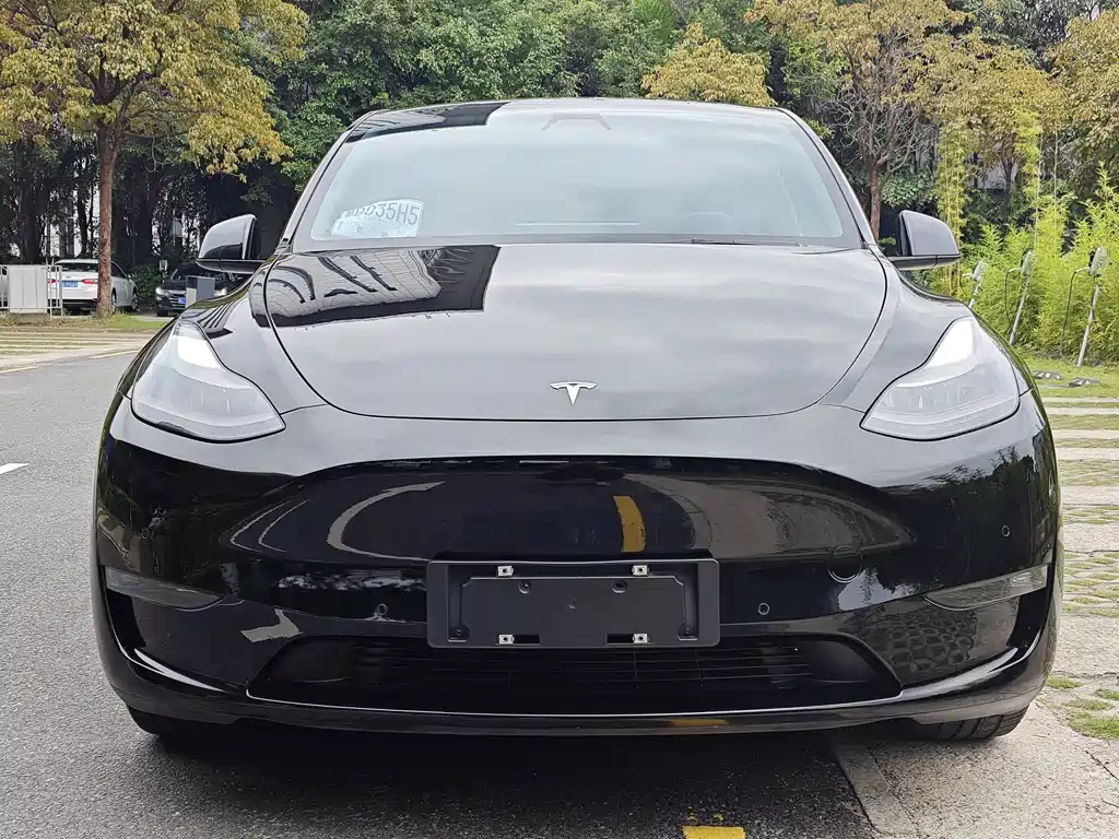 Tesla Model Y 2021 — фото 2
