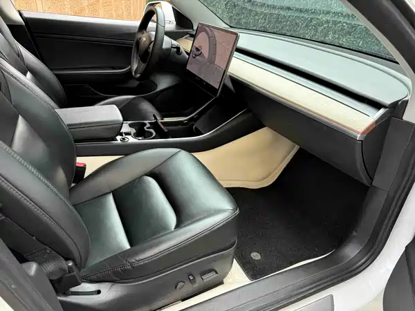 Tesla Model 3 2019