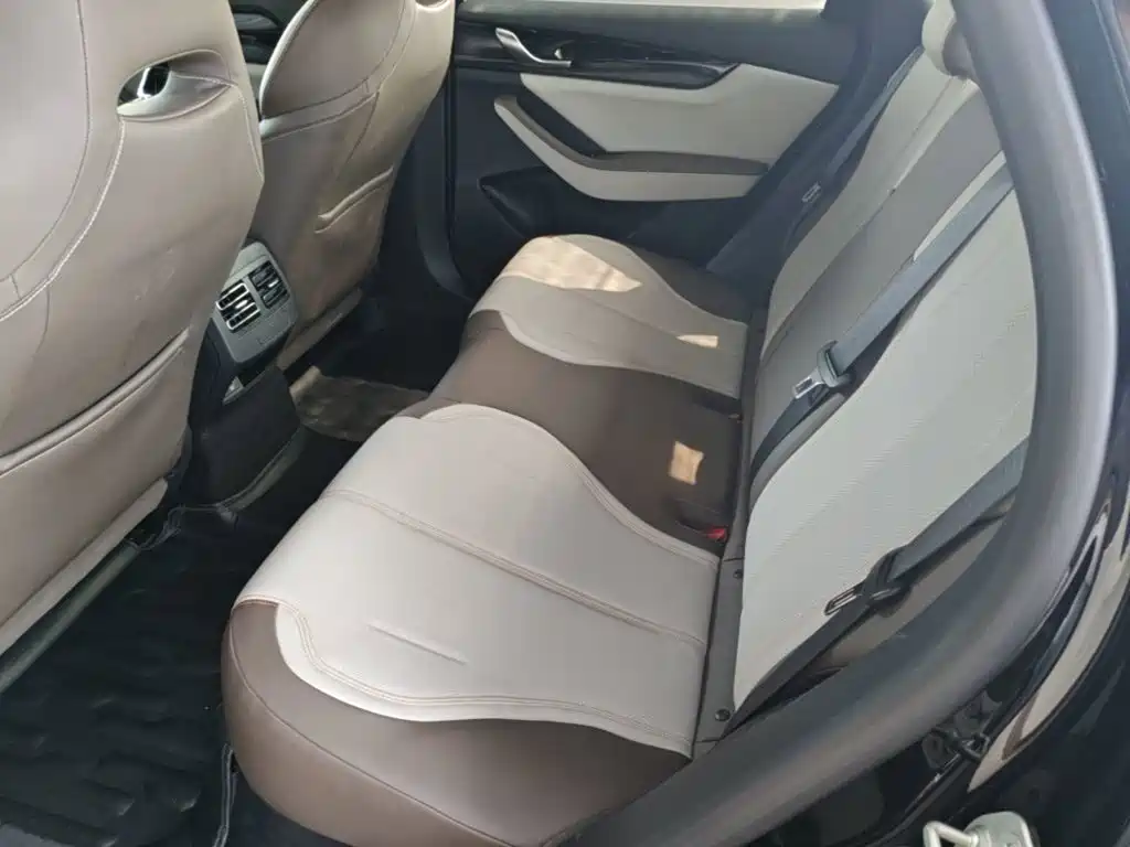 BYD Qin PLUS 2023 — фото 17