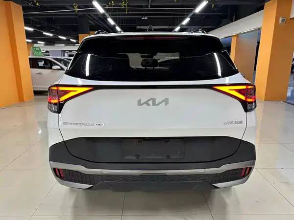 Kia Lion Platinum Expands The Boundary 2023