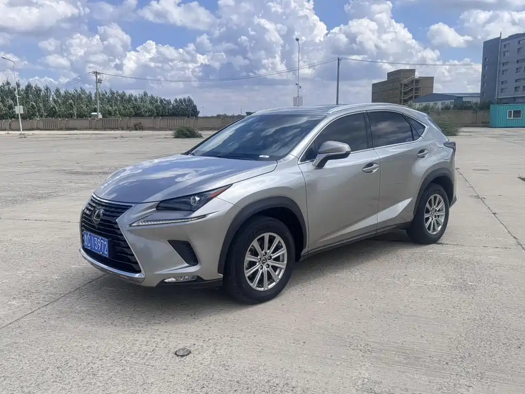Lexus NX 2021 — фото 1