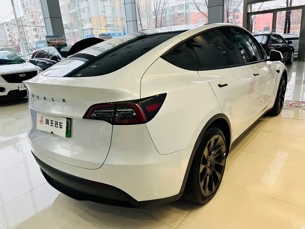 Tesla Model Y 2021 — фото 18