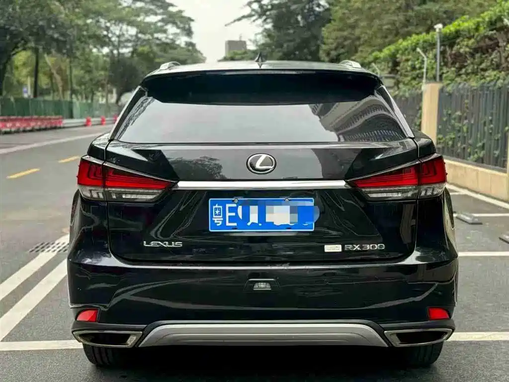 Lexus RX 2019 — фото 5