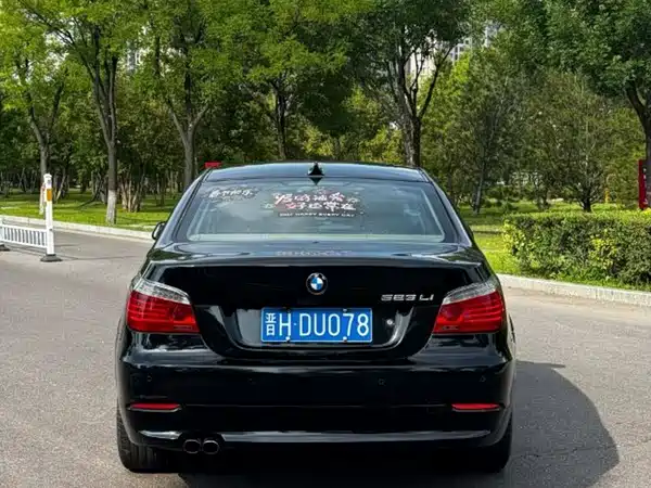BMW 5 Series 2009