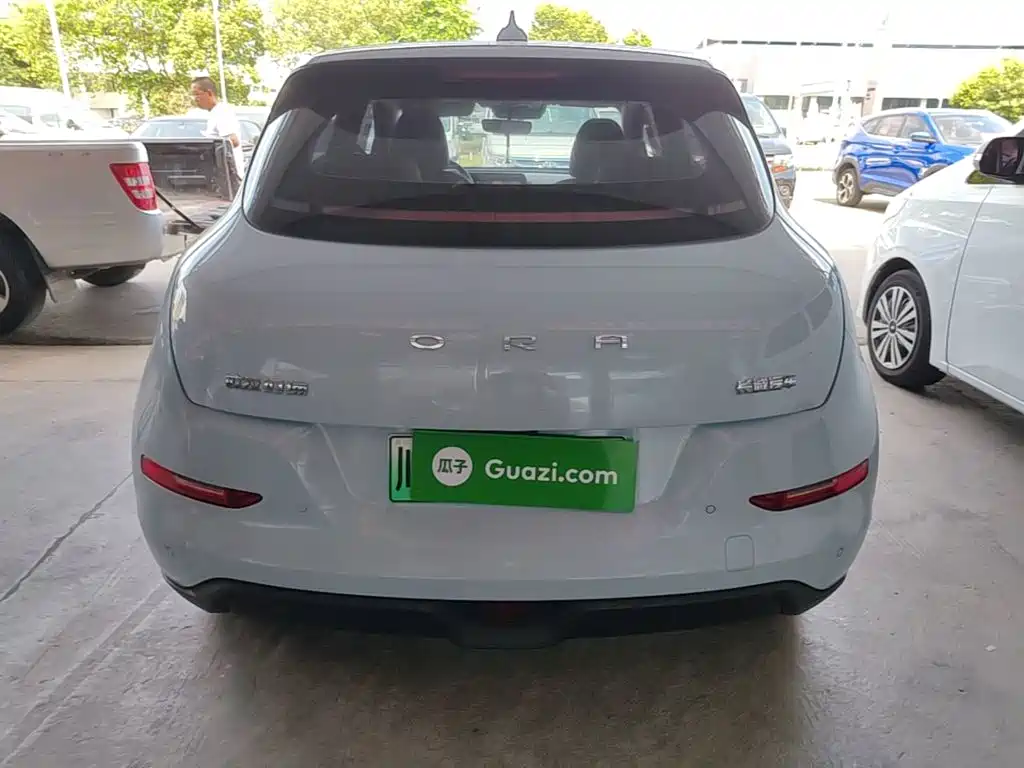 Ora Good Cat 2024