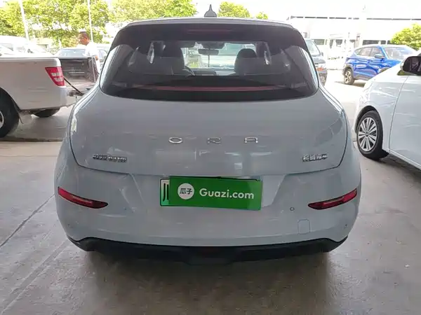 Ora Good Cat 2024