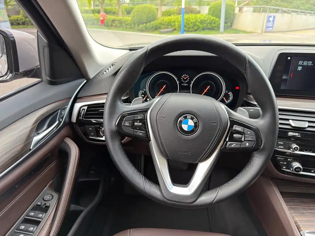 BMW 5 Series 2017 — фото 19