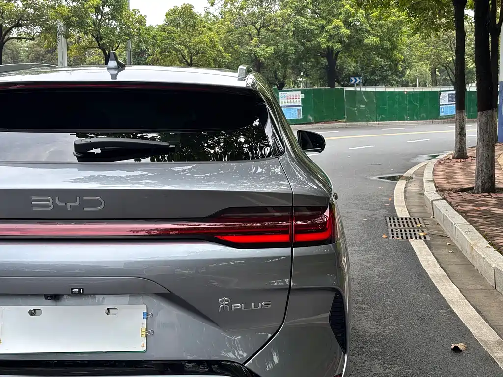 BYD PLUS New Energy 2025 — фото 29