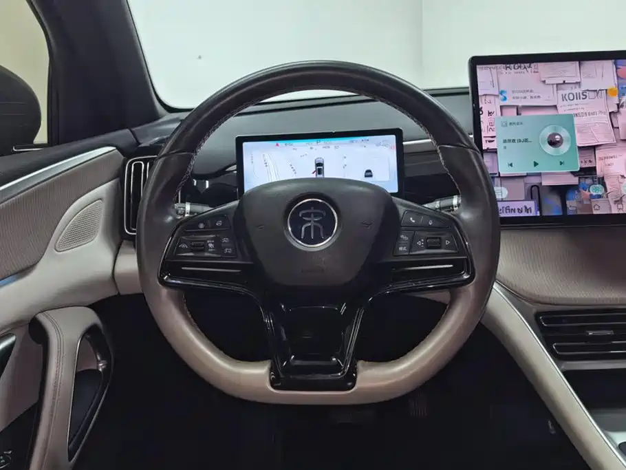 BYD Song Pro New Energy 2024 — фото 15