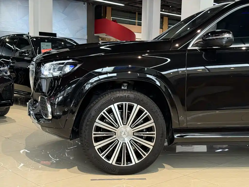 Mercedes-Benz Maybach GLS 2025 — фото 17