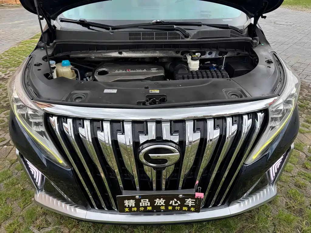 GAC Motor Trumpchi M8 2019 — фото 21