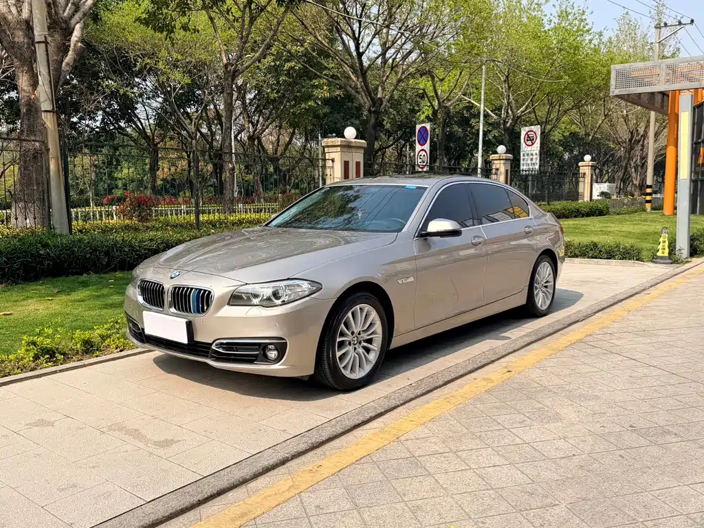 BMW 5 Series 2014 — фото 1