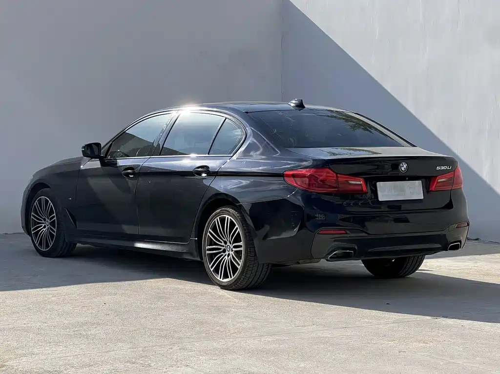 BMW 5 Series 2019 — фото 11