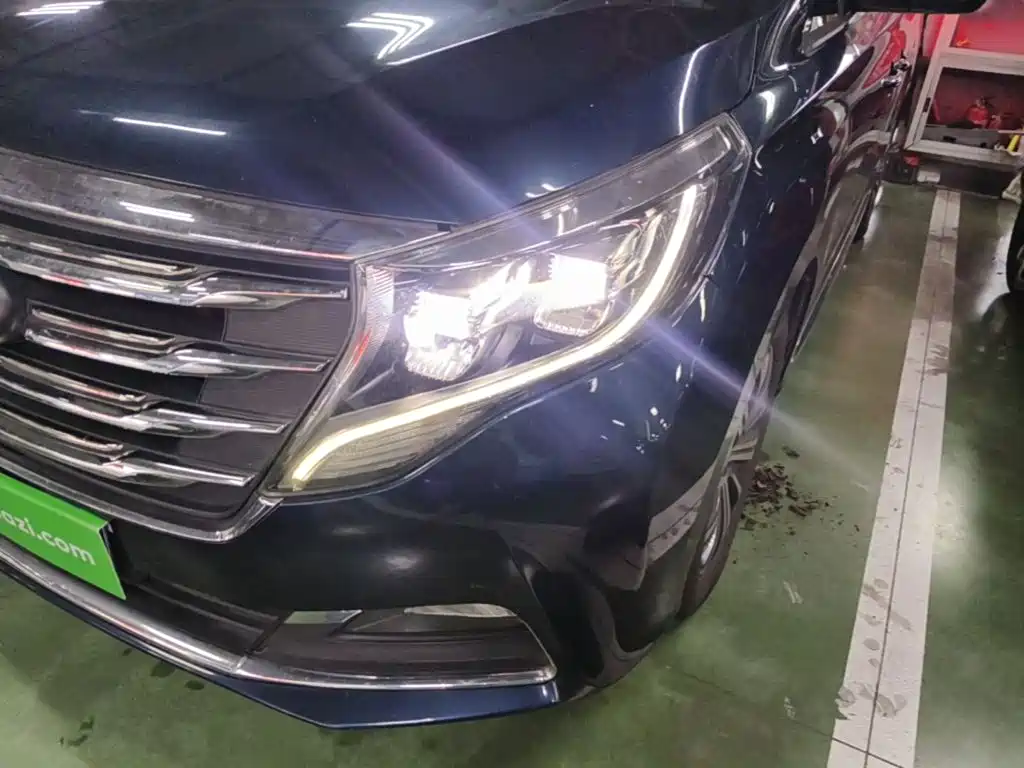 GAC Trumpchi M8 2019 — фото 24