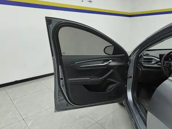 BYD Destroyer 05 2024