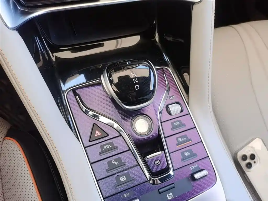 BYD PLUS New Energy 2022 — фото 14