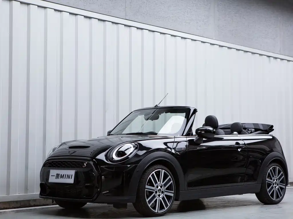 MINI MINI 2024