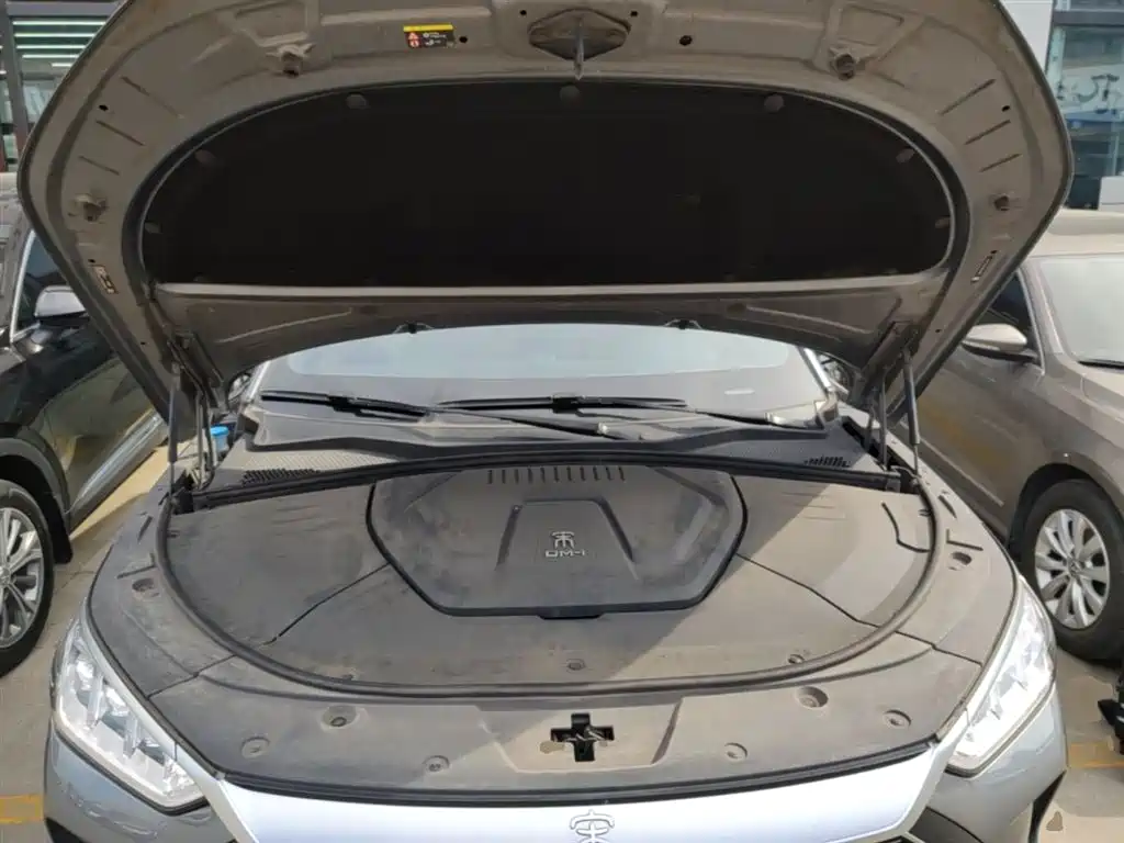 BYD PLUS New Energy 2022 — фото 20