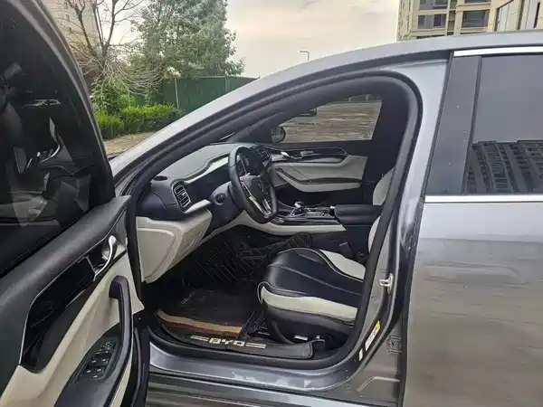 BYD Qin PLUS 2021