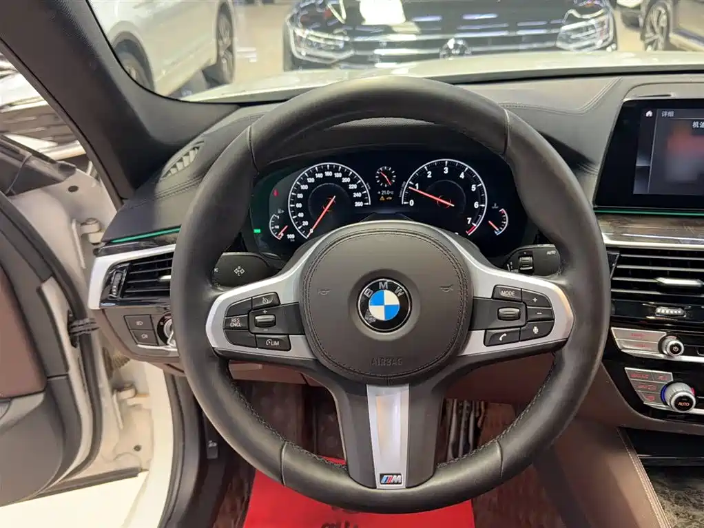 BMW 5 Series 2019 — фото 19