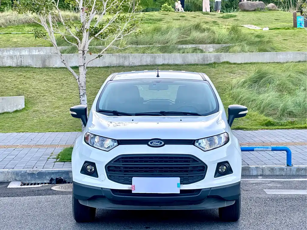 Ford EcoSport 2015 — фото 2
