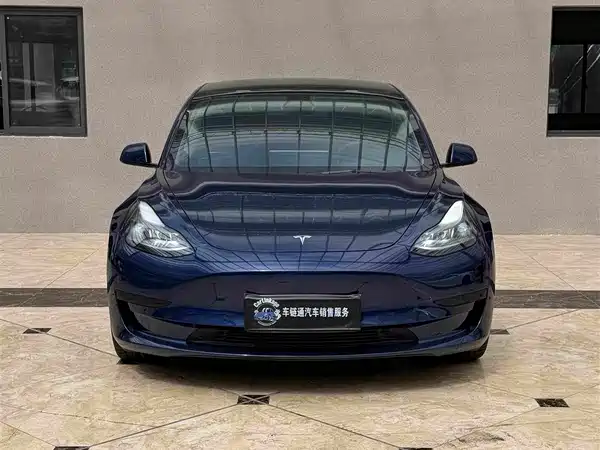 Tesla Model 3 2021