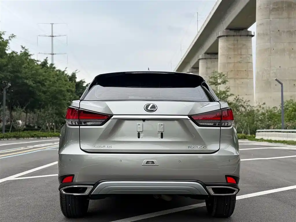 Lexus RX 2022 — фото 10