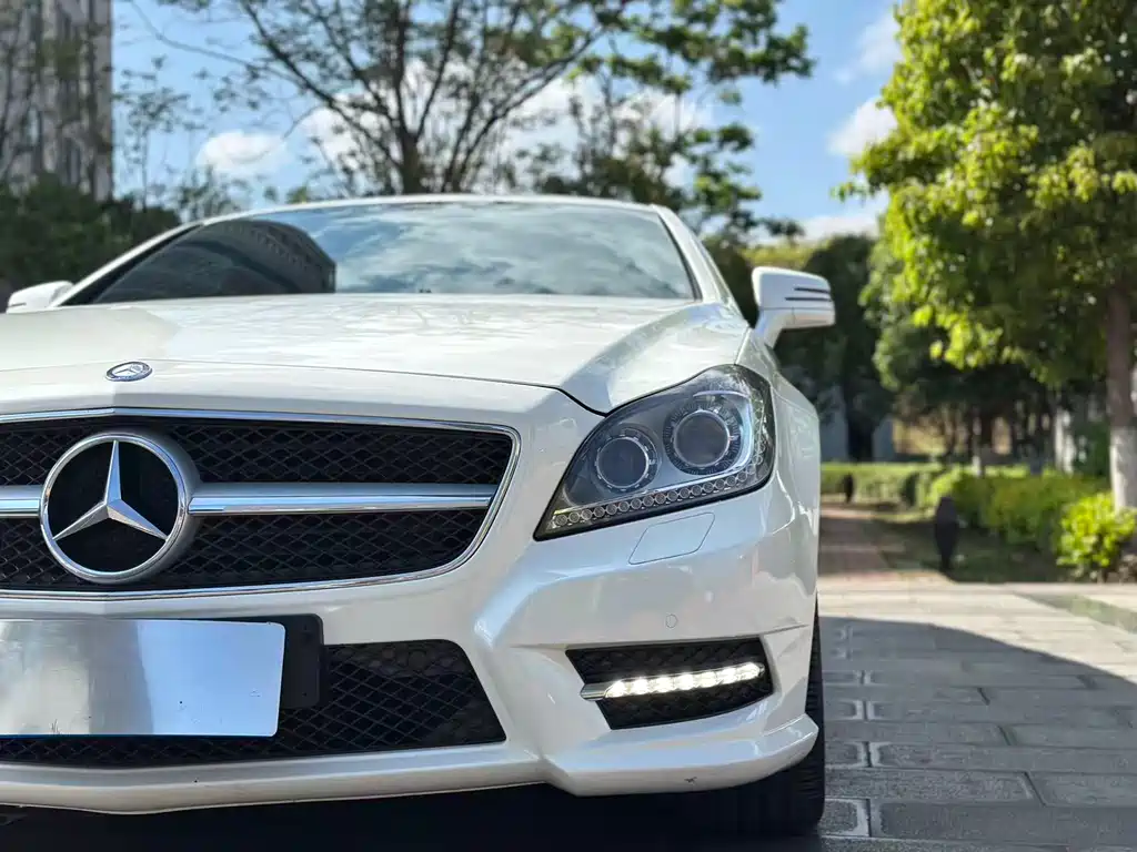 Mercedes-Benz CLS 2014 — фото 19
