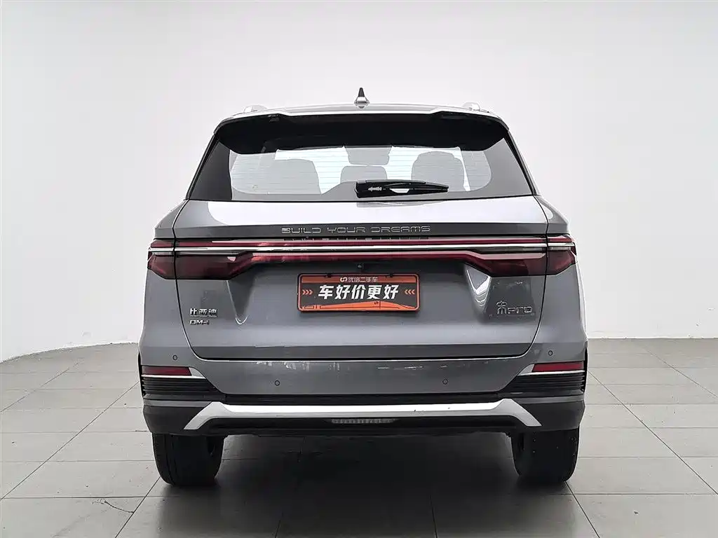 BYD Pro New Energy 2022 — фото 4