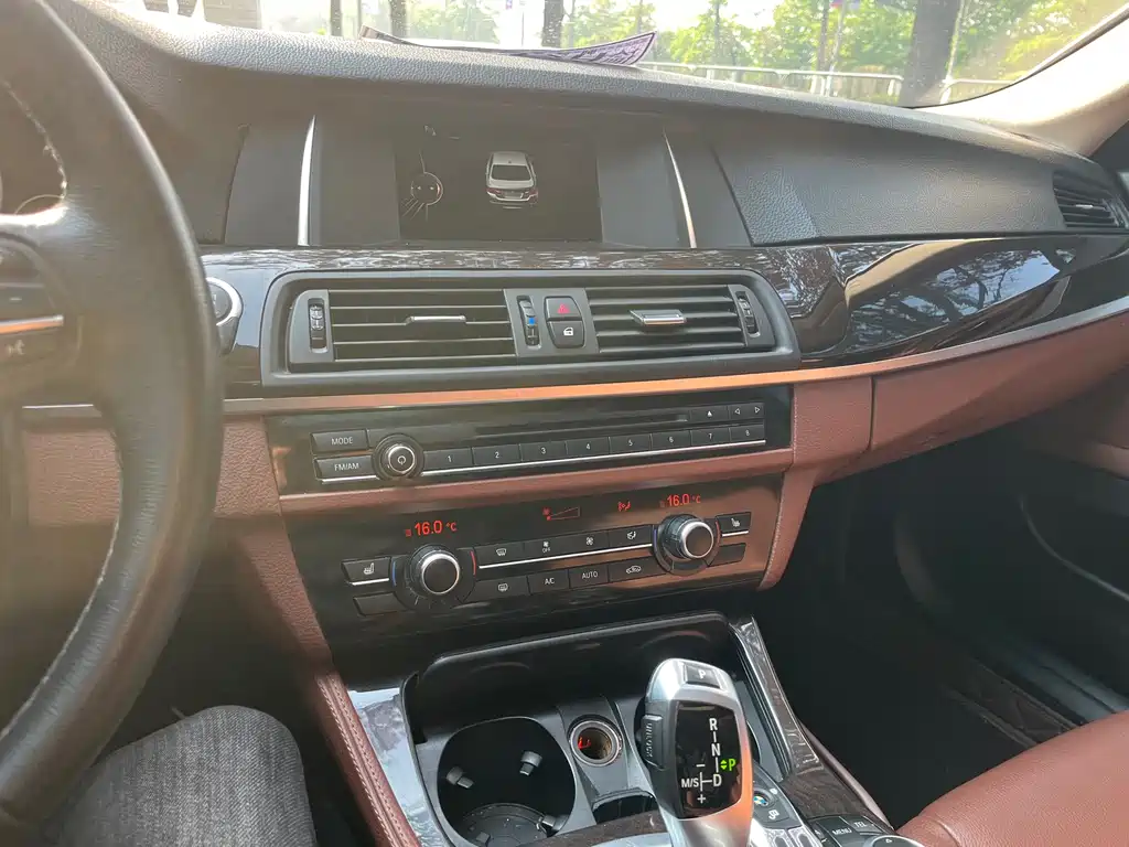 BMW 5 Series 2016 — фото 12