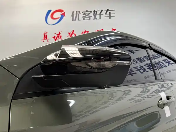 Geely Binrui 2022