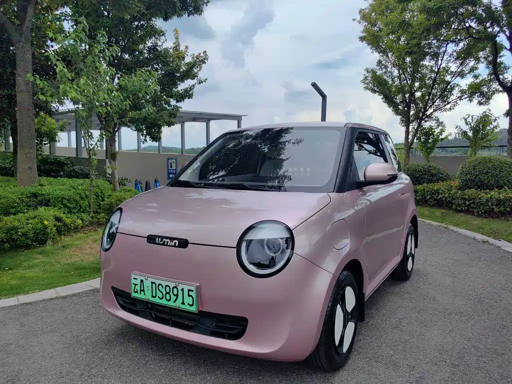 Qiyuan Lumin 2024