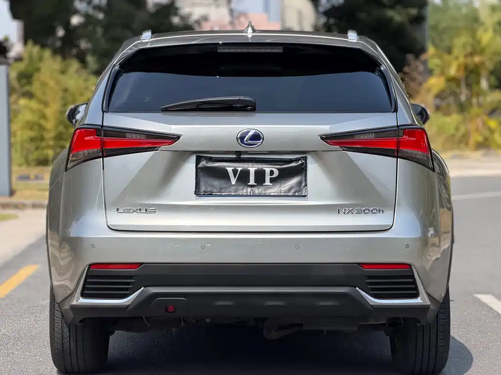 Lexus NX 2021 — фото 15