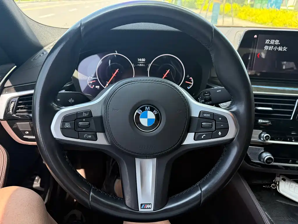 BMW 5 Series 2019 — фото 13