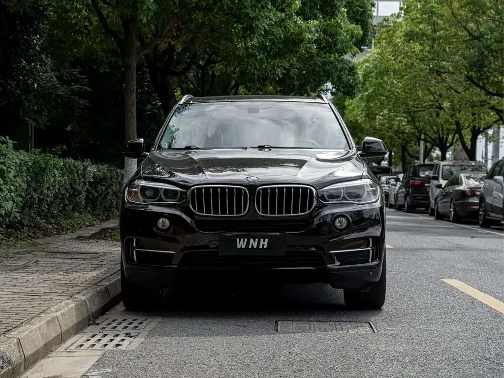 BMW X5 2017
