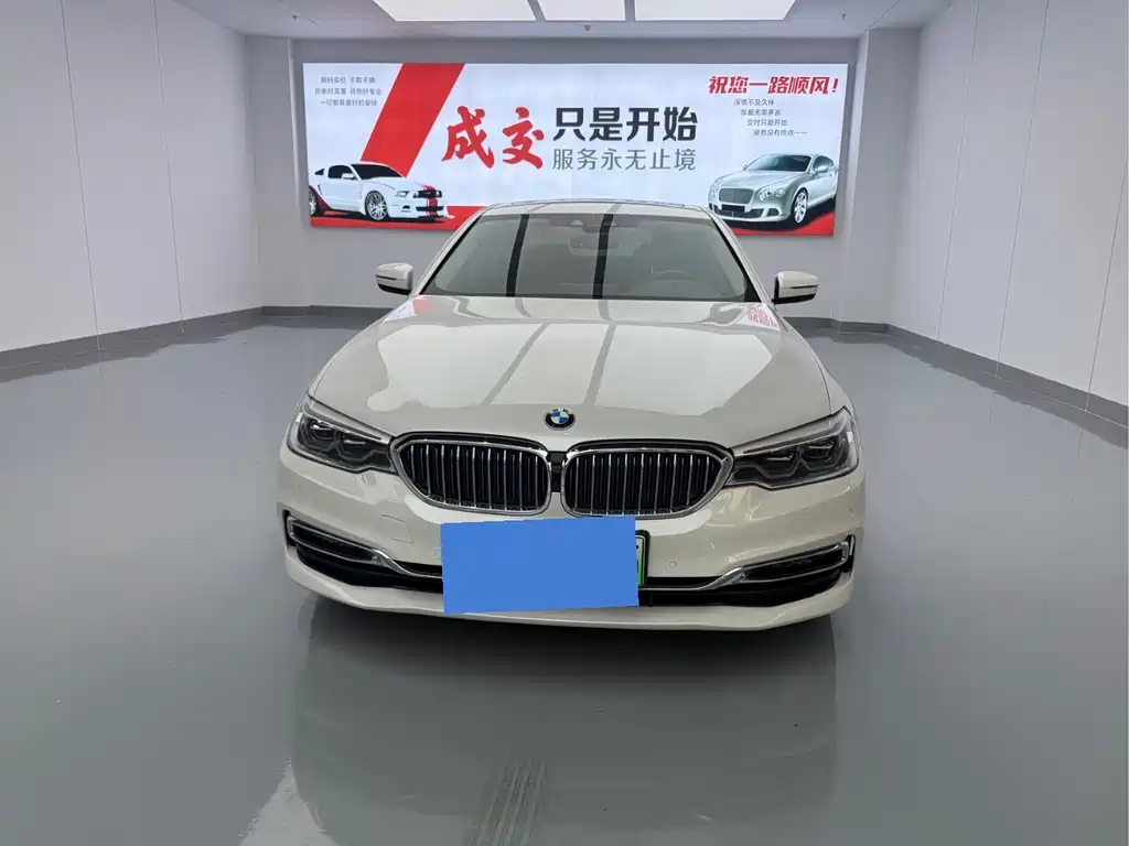 BMW 5 Series New Energy 2019