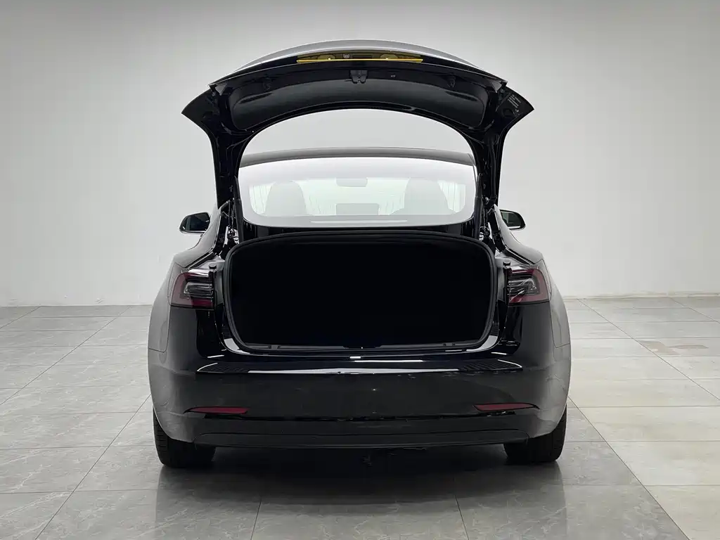 Tesla Model 3 2020 — фото 10