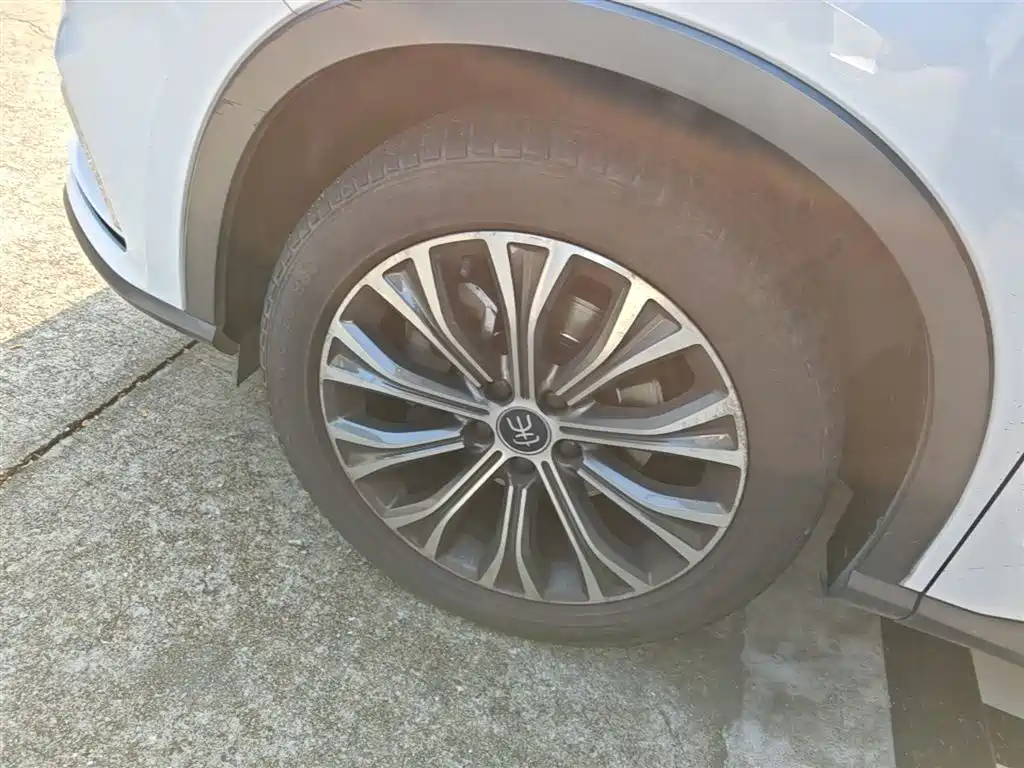 BYD Pro New Energy 2020 — фото 23