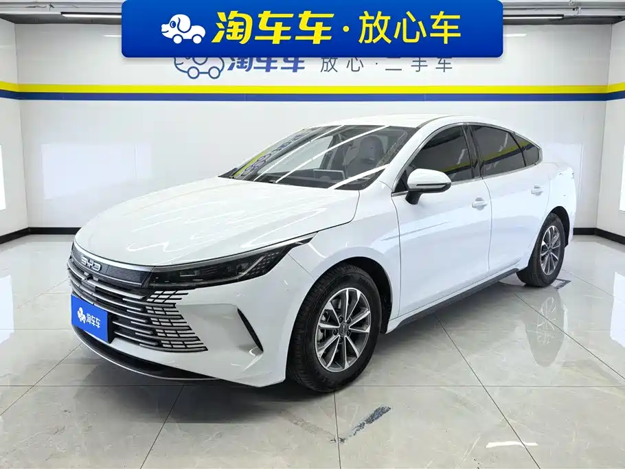BYD Destroyer 05 2025 — фото 1